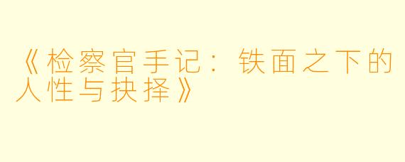 《检察官手记：铁面之下的人性与抉择》