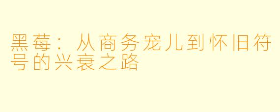 黑莓：从商务宠儿到怀旧符号的兴衰之路