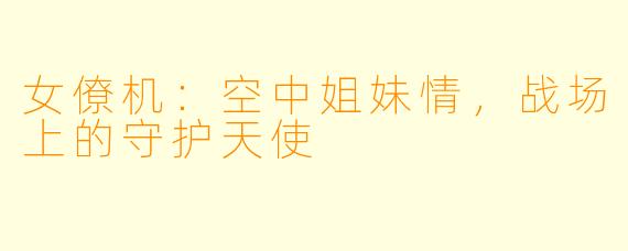 女僚机：空中姐妹情，战场上的守护天使