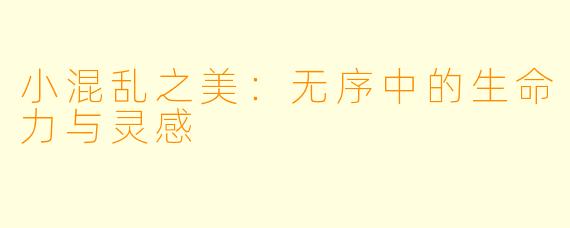 小混乱之美：无序中的生命力与灵感