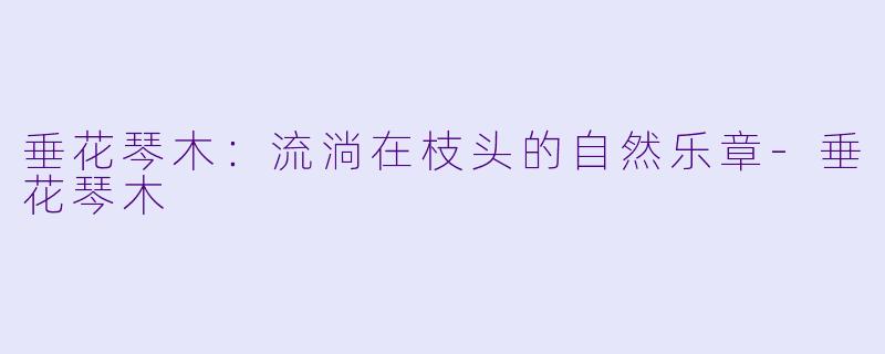 垂花琴木：流淌在枝头的自然乐章-垂花琴木
