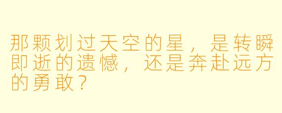 那颗划过天空的星，是转瞬即逝的遗憾，还是奔赴远方的勇敢？