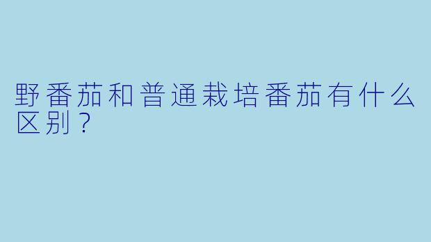 野番茄和普通栽培番茄有什么区别？