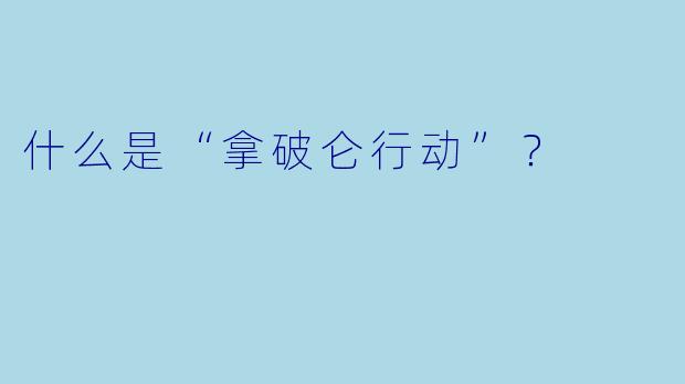 什么是“拿破仑行动”？