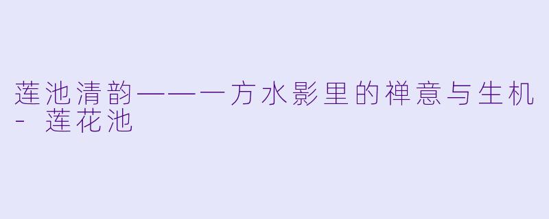 莲池清韵——一方水影里的禅意与生机-莲花池