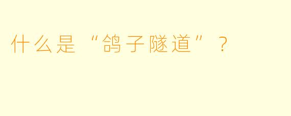 什么是“鸽子隧道”？