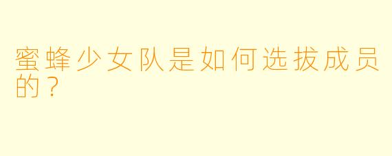 蜜蜂少女队是如何选拔成员的？