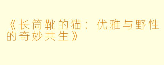 《长筒靴的猫：优雅与野性的奇妙共生》