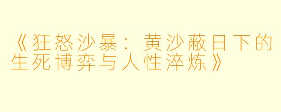 《狂怒沙暴：黄沙蔽日下的生死博弈与人性淬炼》