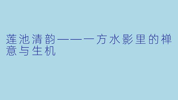 莲池清韵——一方水影里的禅意与生机
