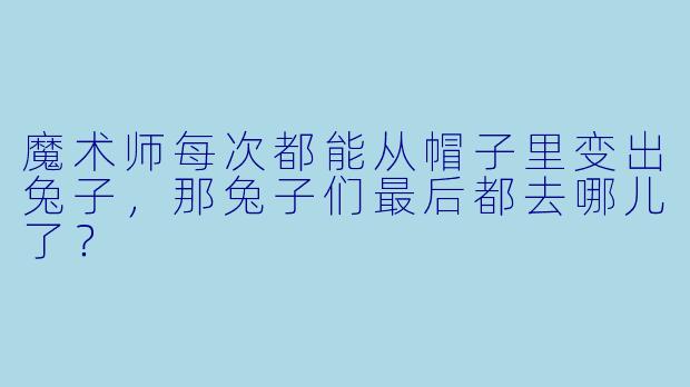 魔术师每次都能从帽子里变出兔子，那兔子们最后都去哪儿了？