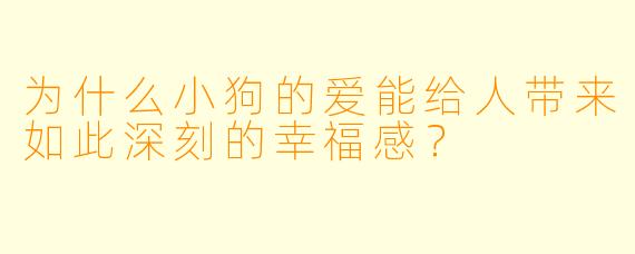 为什么小狗的爱能给人带来如此深刻的幸福感?