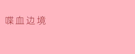 喋血边境