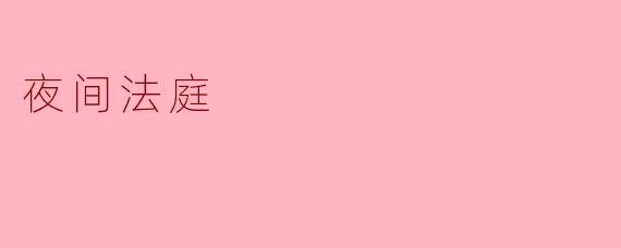 夜间法庭