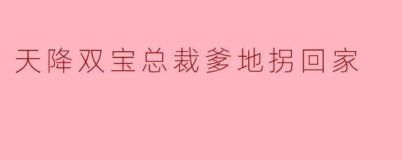 天降双宝总裁爹地拐回家