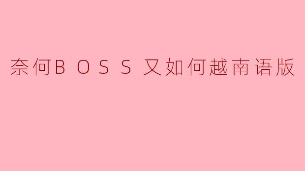 奈何BOSS又如何越南语版