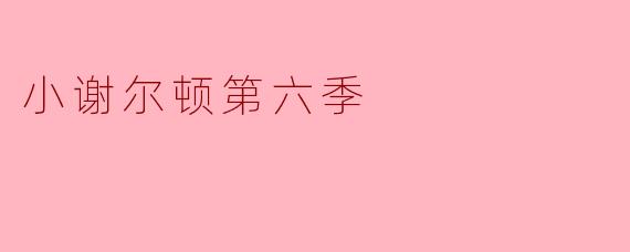 小谢尔顿第六季