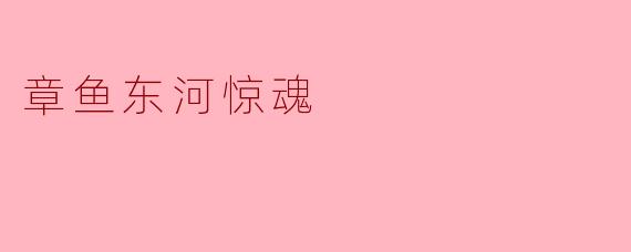 章鱼东河惊魂