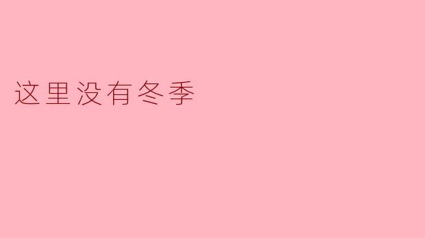 这里没有冬季