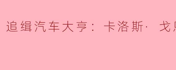 追缉汽车大亨：卡洛斯·戈恩