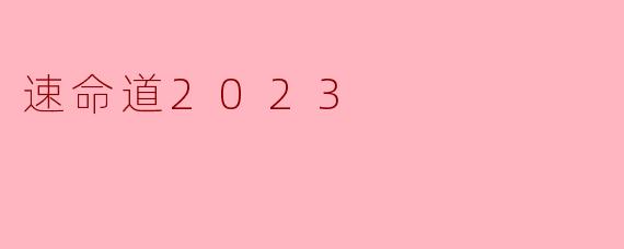 速命道2023