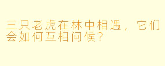 三只老虎在林中相遇，它们会如何互相问候？