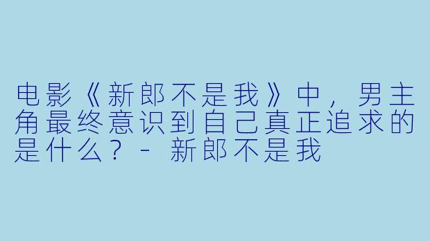 电影《新郎不是我》中，男主角最终意识到自己真正追求的是什么？-新郎不是我