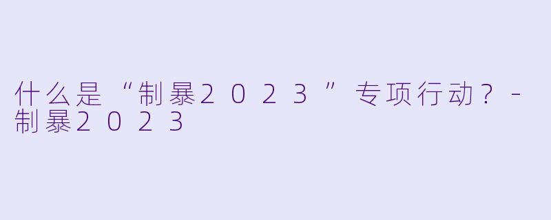 什么是“制暴2023”专项行动？
