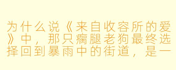 为什么说《来自收容所的爱》中，那只瘸腿老狗最终选择回到暴雨中的街道，是一种“回家”？