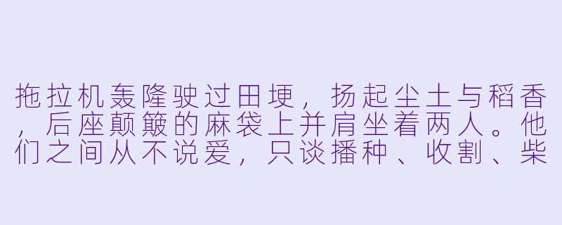 拖拉机轰隆驶过田埂，扬起尘土与稻香，后座颠簸的麻袋上并肩坐着两人。他们之间从不说爱，只谈播种、收割、柴油价格和生锈的零件。可村里人都说，那台老拖拉机载着的，是比麦浪更沉甸甸的东西——那究竟是什么？-拖拉机承载的爱情