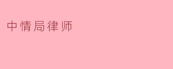 中情局律师