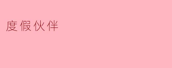 度假伙伴