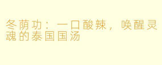 冬荫功：一口酸辣，唤醒灵魂的泰国国汤