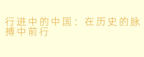 行进中的中国：在历史的脉搏中前行