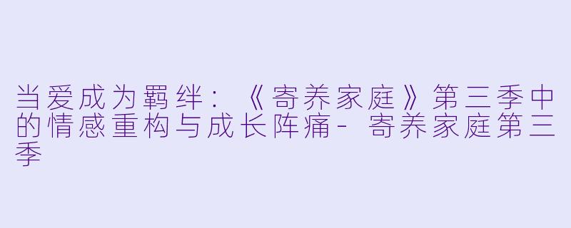 当爱成为羁绊：《寄养家庭》第三季中的情感重构与成长阵痛-寄养家庭第三季
