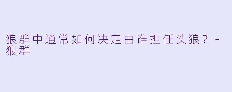 狼群中通常如何决定由谁担任头狼？-狼群