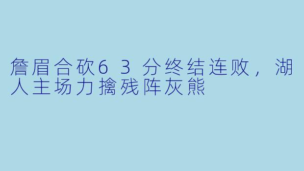 詹眉合砍63分终结连败，湖人主场力擒残阵灰熊