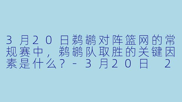 3月20日鹈鹕对阵篮网的常规赛中，鹈鹕队取胜的关键因素是什么？-3月20日 23-24赛季NBA常规赛 鹈鹕 VS 篮网