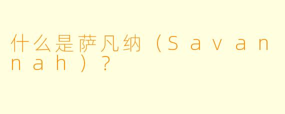 什么是萨凡纳（Savannah）？