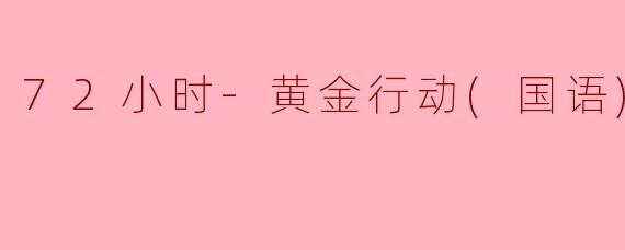 72小时-黄金行动(国语)