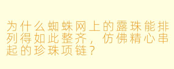 为什么蜘蛛网上的露珠能排列得如此整齐，仿佛精心串起的珍珠项链？