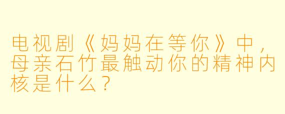 电视剧《妈妈在等你》中,母亲石竹最触动你的精神内核是什么?