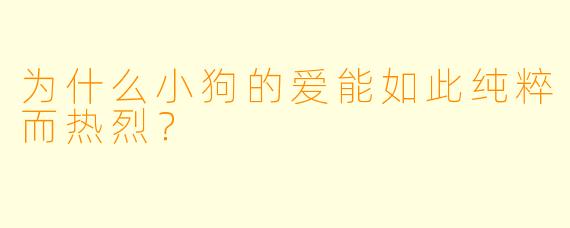 为什么小狗的爱能如此纯粹而热烈？