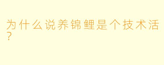 为什么说养锦鲤是个技术活？