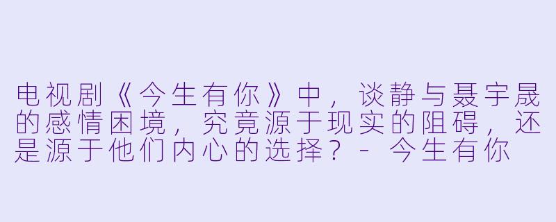 电视剧《今生有你》中，谈静与聂宇晟的感情困境，究竟源于现实的阻碍，还是源于他们内心的选择？