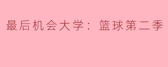 最后机会大学：篮球第二季
