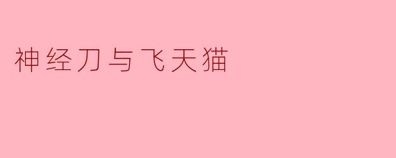 神经刀与飞天猫