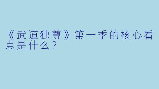 《武道独尊》第一季的核心看点是什么？