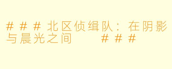 ###北区侦缉队：在阴影与晨光之间

###