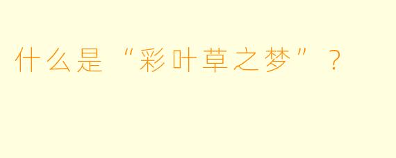 什么是“彩叶草之梦”？